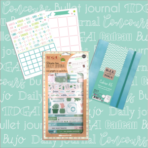 alice balice | bullet journal | pochoir toga